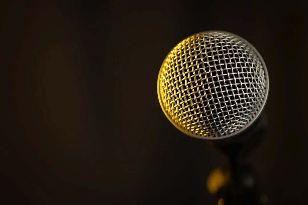 Recording microphone in a professional studio